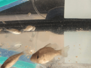 Screen Shot 2023-02-15 at 12.15.49 PM